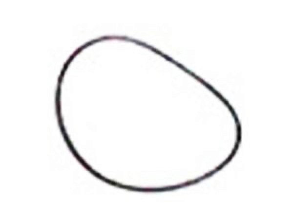 Kit Anel da Bomba d'Água Menor 114X3,0 para Sca 140/FTK112/TR142/K113 - 811051