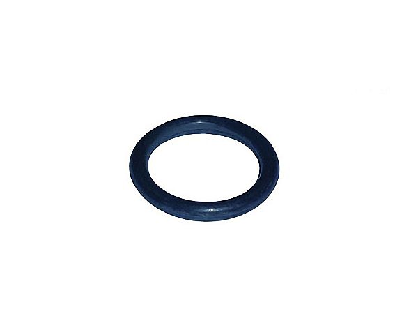 Kit Anel Oring para Bomba de Óleo 19,20X3,00MM Sca SCANIA GR S 900 - 392702