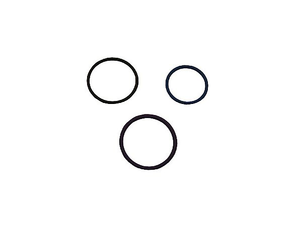 Kit Anéis para Injetores Série 4 Sca Todos Eletrônicos com 3 Anéis - 1422564