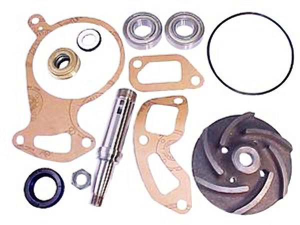Kit Reparo Bomba D'Água com Rolamento para Sca LK140/142 - 550144