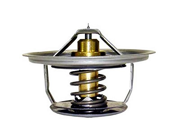 Válvula Termostática 71 Graus para Sca R112/R113 - 524942