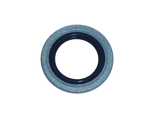 Kit Anel de Vedação da Flauta de Água Aço com Borracha para Sca P94/124 Eletrônico - 1374842