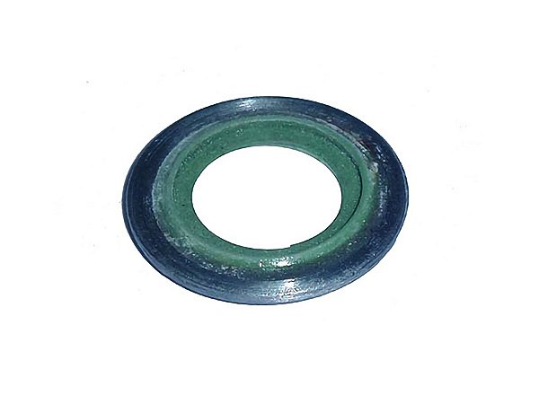 Arruela para Válvula de Retenção Sca Série 4 - 1373792