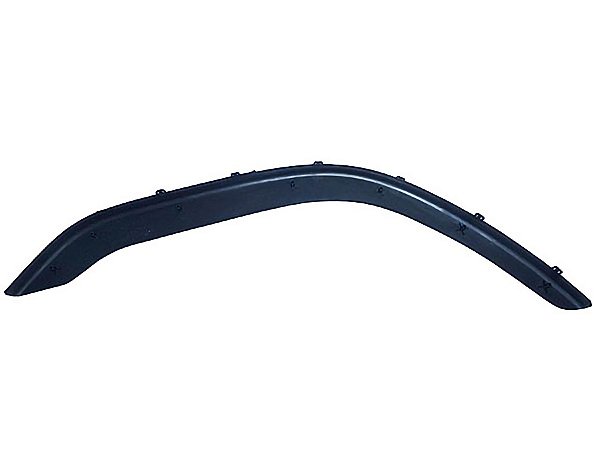 Acabamento do Paralama Lado Esquerdo Volvo FH - 20529682