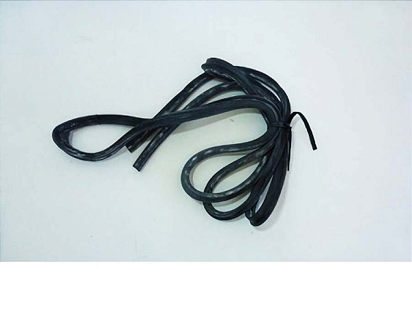 Guarnição de Borracha Externa para Porta Esquerda 4,10M Volvo N10/N12 1993 a 1998 - 8125163