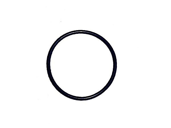 Kit Anel de Vedação para Tubo da Bomba d'Água 54X3,00MM Volvo N/NL/EDC - 975673