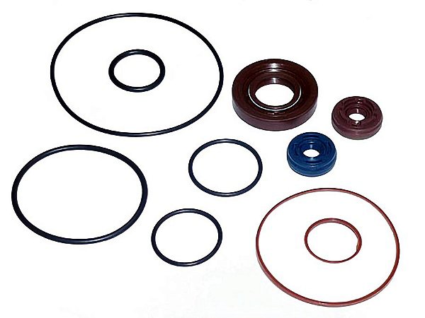 Kit Reparo para Bomba Hidráulica Volvo FH400/420/440/FM 8X - 8695633003