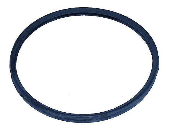 Anel Tipo U para Válvula Termostática Volvo D13 A/B com SCR Euro 4/5 D13B SE - 1549651