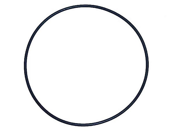 Anel de Vedação para Bomba d'Água 123,5X3Mm Volvo FH D12 - 975687