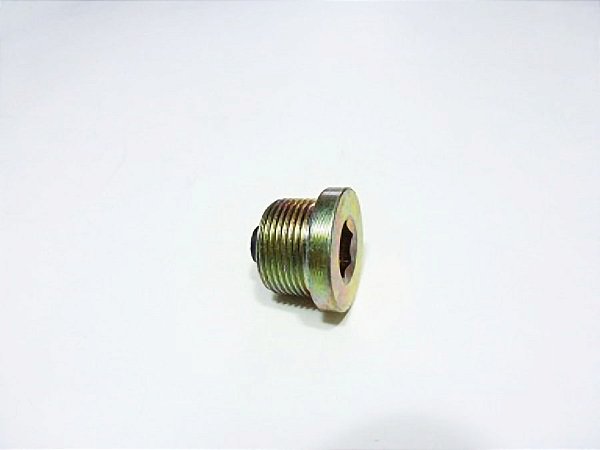 Kit Bujao de Carter 24X1.5 com Imã Hallen CH 12MM para Volvo N10/N12/NL - 949175