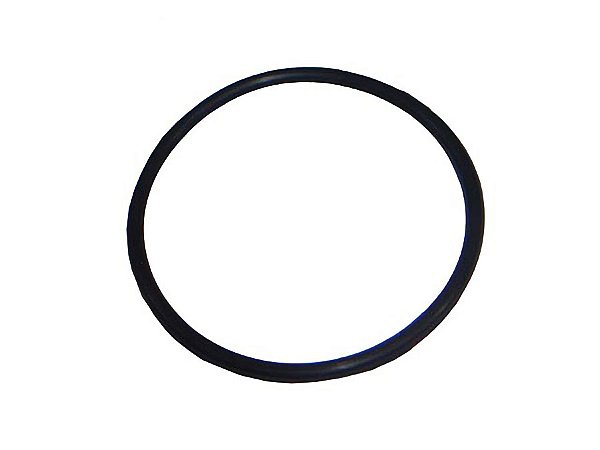 Kit Anel de Vedação para Bomba d'Água MWM Série 10 X-1 Volks Caminhão, Micro-ônibus e Ônibus F1400 - TAE121045
