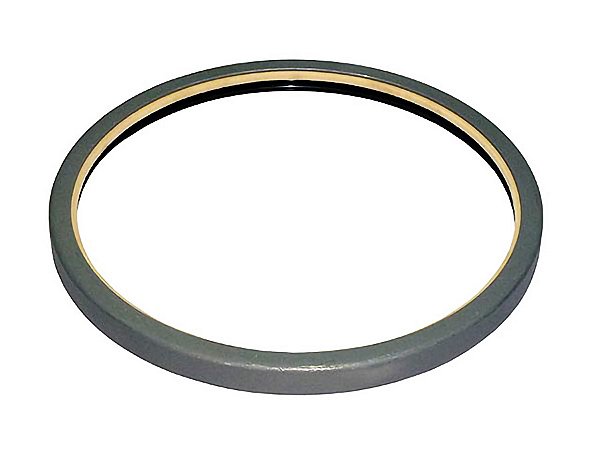 Retentor Externo da Roda Traseira 180X200X13,5M para Iveco STRALIS/EUROTECH/EUROTRAKKER - 42127773