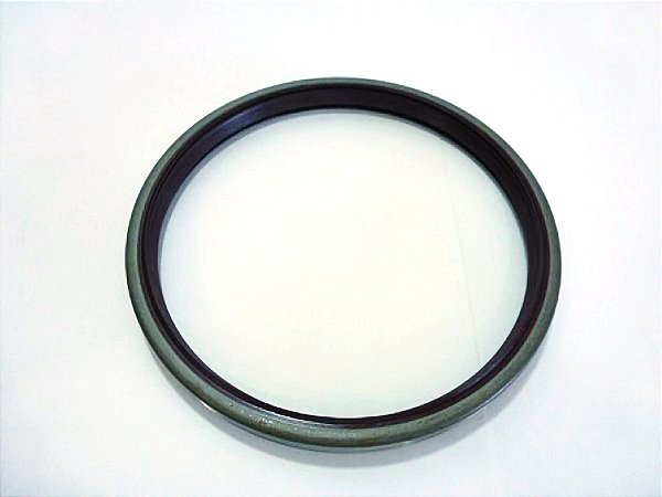Retentor para Roda Traseira 180X200X17MM Ive IVECO EUROTRAKKER 450/ EUROTECH - 40100673