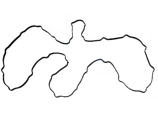 Junta da Tampa da Válvula para Iveco STRALIS/TRAKKER EURO III e EURO V - 500309014