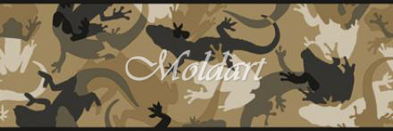 Papel de Parede Infantil CANDICE OLSON KIDS CK7798B