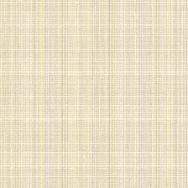 Papel de Parede TOTEM ST40105