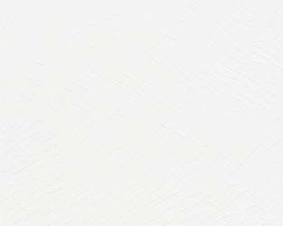 Papel de Parede WERNER AISSLINGER 955801