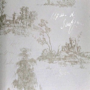 Papel de Parede DA VINCI II DV120701