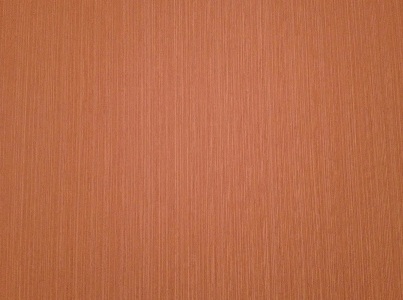 Papel de Parede ABSOLUTE 521-06