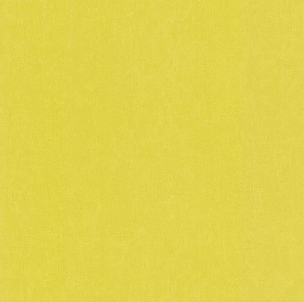 Papel de Parede Infantil LES PETITS CURIEUX 11163304