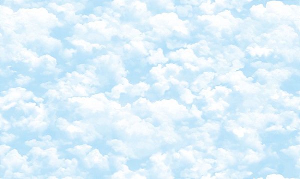 Papel de Parede Infantil WONDERLAND 99021