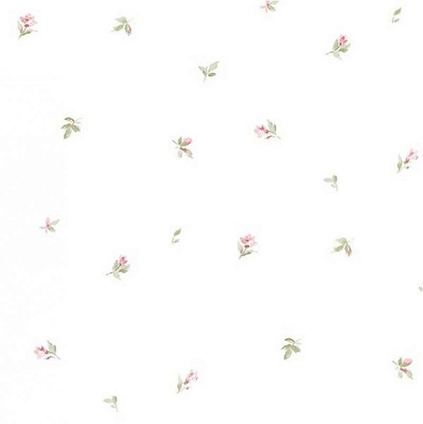 Papel de Parede ABBY ROSE 3 AB27626