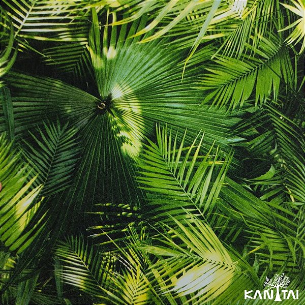 Papel de Parede GRACE 4 GR401901R