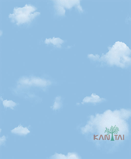 Papel de Parede Infantil YOYO 2 YY204001R