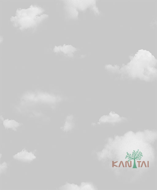 Papel de Parede Infantil YOYO 2 YY204002R