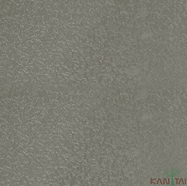 Papel de Parede CLASSICI 4 4A095404R