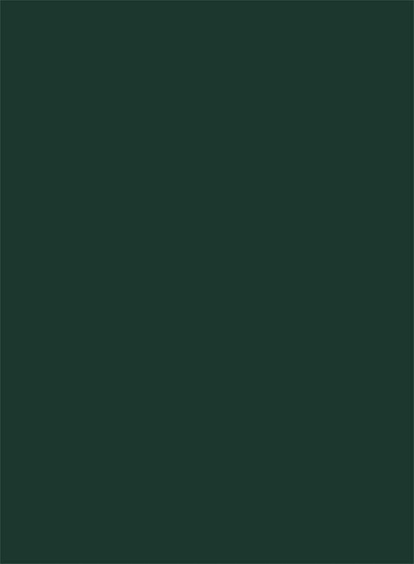 Papel de Parede BOTÂNICA 81598