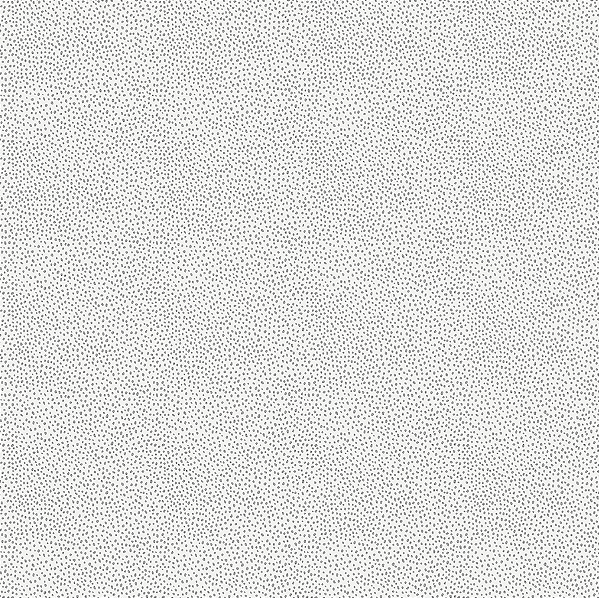Papel de Parede ENZO - Poá Preto e Branco 2945