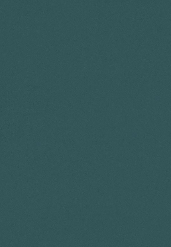 Papel de Parede FLORA - HOME FINISH 84605