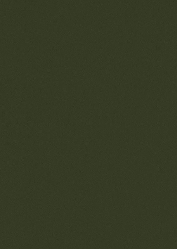 Papel de Parede FLORA - HOME FINISH 84407