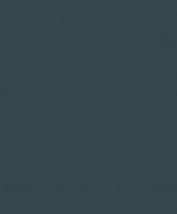 Papel de Parede FLORA - HOME FINISH 84421
