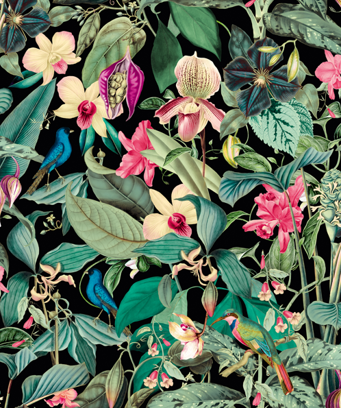 Papel de Parede LEYLA 81685