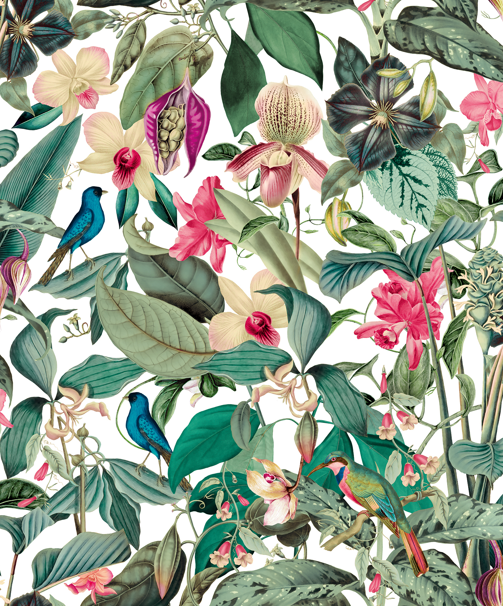 Papel de Parede LEYLA 81686