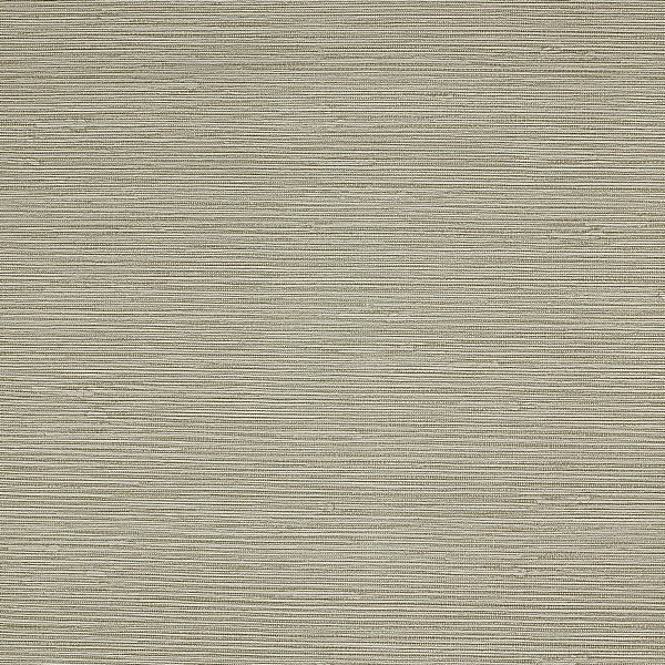Papel de Parede COSTA ESMERALDA CES-AK402