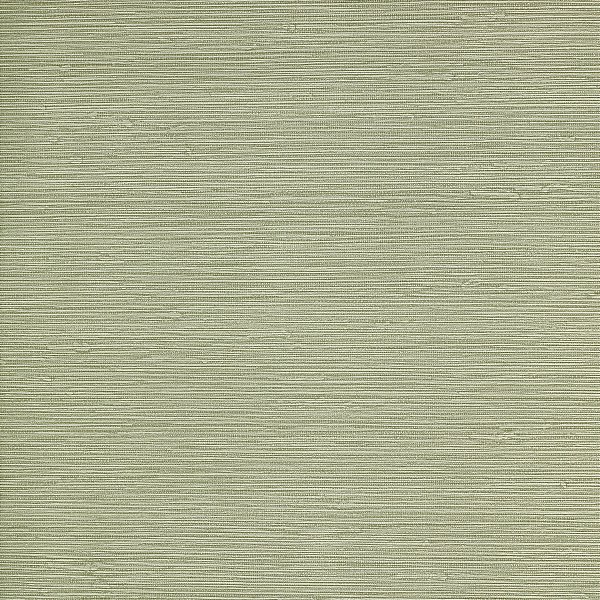 Papel de Parede COSTA ESMERALDA CES-AK409