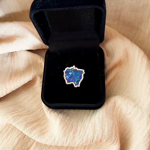 Botón Mato Grosso Do Sul