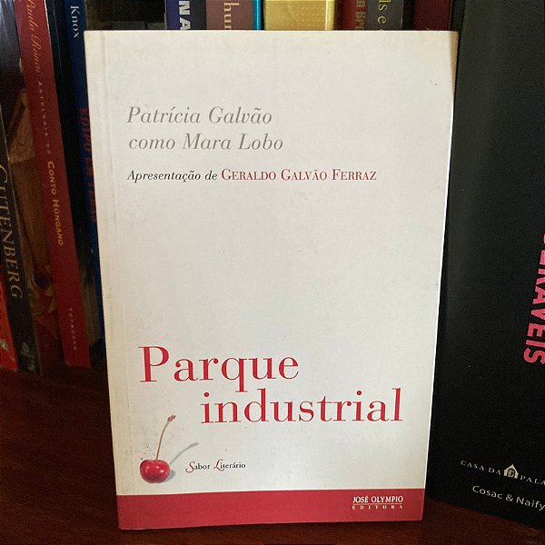 Livro: Parque industrial, de Patrícia Galvão - Usado