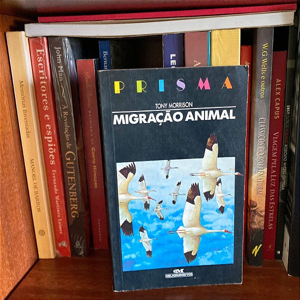 Livro: Migração animal, de Tony Morrison - Usado