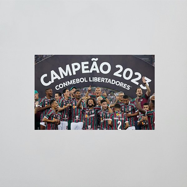 Ímã: Fluminense: Campeão da Libertadores 2023 - 5x8cm - Lacrado