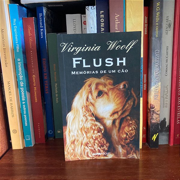 Livro: Flush, memórias de um cão, de Virginia Woolf - Novo