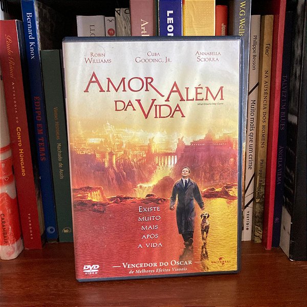 DVD: Amor além da vida, de Vincent Ward - Usado