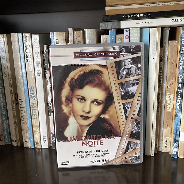DVD: Um grito na noite - Usado