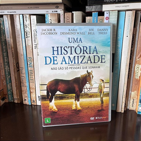 DVD: Uma história de amizade - Usado