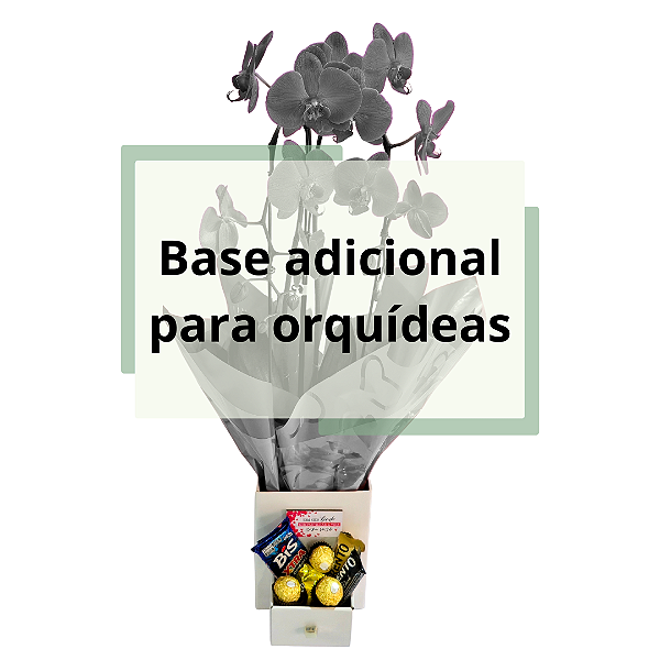 ADICIONAL - Base com Gaveta de Chocolates p/ Orquídeas