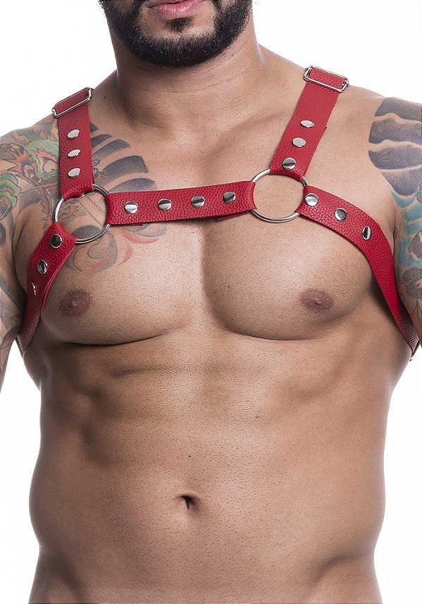 Harness Couro Sintético Super Luxo Metal Exp