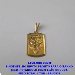 PINGENTE  NO BRUTO PRONTO PARA O BANHO (4645)RETANGULO 20MM LEÃO DE JUDÁ PESO TOTAL 1.7GR - BRU0936